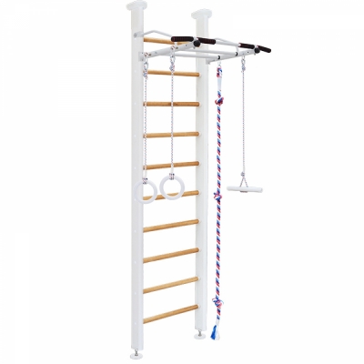 Детский спортивный комплекс ДСК Карусель Alice