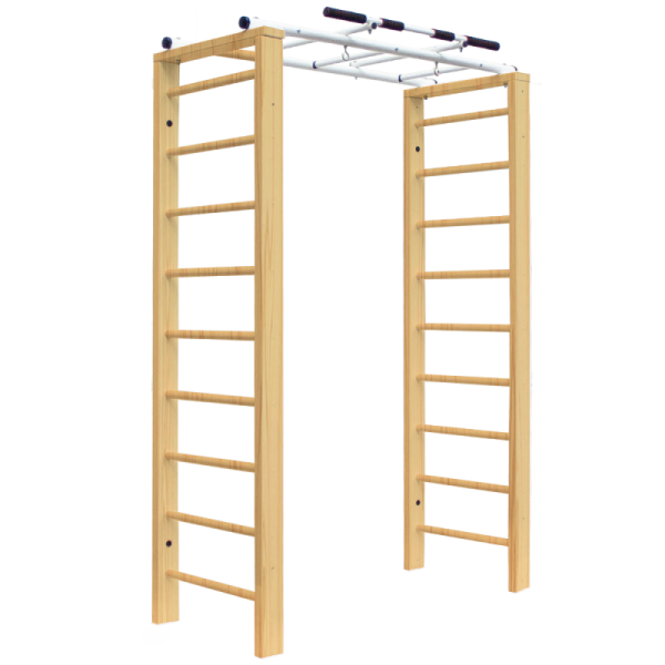 Домашний комплекс с рукоходом Лука