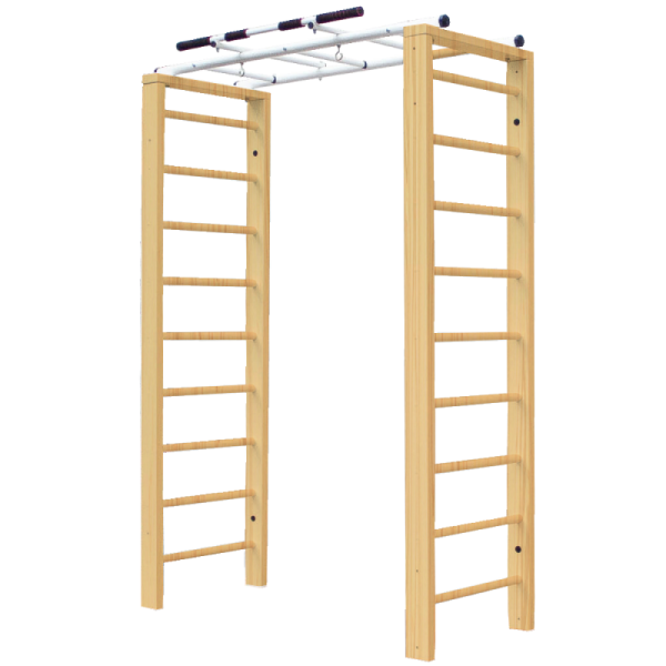 Домашний комплекс с рукоходом Лука